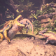 Illustration for article titled Five Of My Favorite Things About iMonster Hunter: World/i